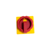 Padlockable handle 